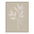 Picture of Neutral Plant VIII _GroupedProduct_Rectangle_Portrait_Canvas_Framed_