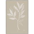 Picture of Neutral Plant VIII _GroupedProduct_Rectangle_Portrait_Canvas_Framed_