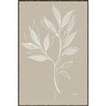 Picture of Neutral Plant VIII _GroupedProduct_Rectangle_Portrait_Canvas_Framed_