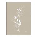 Picture of Neutral Plant V _GroupedProduct_Rectangle_Portrait_Canvas_Framed_
