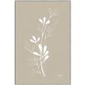 Picture of Neutral Plant V _GroupedProduct_Rectangle_Portrait_Canvas_Framed_