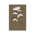 Picture of Neutral Plant  IV _GroupedProduct_Rectangle_Portrait_Canvas_Framed_