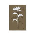 Picture of Neutral Plant  IV _GroupedProduct_Rectangle_Portrait_Canvas_Framed_