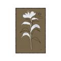 Picture of Neutral Plant  IV _GroupedProduct_Rectangle_Portrait_Canvas_Framed_
