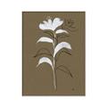 Picture of Neutral Plant  IV _GroupedProduct_Rectangle_Portrait_Canvas_Framed_