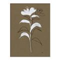 Picture of Neutral Plant  IV _GroupedProduct_Rectangle_Portrait_Canvas_Framed_