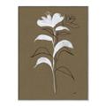 Picture of Neutral Plant  IV _GroupedProduct_Rectangle_Portrait_Canvas_Framed_