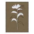 Picture of Neutral Plant  IV _GroupedProduct_Rectangle_Portrait_Canvas_Framed_