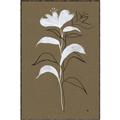 Picture of Neutral Plant  IV _GroupedProduct_Rectangle_Portrait_Canvas_Framed_