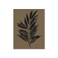 Picture of Silhouette Leaves _GroupedProduct_Rectangle_Portrait_Canvas_Framed_