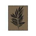 Picture of Silhouette Leaves _GroupedProduct_Rectangle_Portrait_Canvas_Framed_