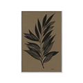 Picture of Silhouette Leaves _GroupedProduct_Rectangle_Portrait_Canvas_Framed_