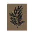 Picture of Silhouette Leaves _GroupedProduct_Rectangle_Portrait_Canvas_Framed_