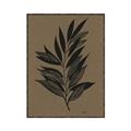 Picture of Silhouette Leaves _GroupedProduct_Rectangle_Portrait_Canvas_Framed_