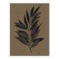Picture of Silhouette Leaves _GroupedProduct_Rectangle_Portrait_Canvas_Framed_