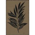 Picture of Silhouette Leaves _GroupedProduct_Rectangle_Portrait_Canvas_Framed_