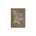 Picture of Neutral Plant  III _GroupedProduct_Rectangle_Portrait_Canvas_Framed_