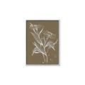 Picture of Neutral Plant  III _GroupedProduct_Rectangle_Portrait_Canvas_Framed_