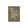 Picture of Neutral Plant  III _GroupedProduct_Rectangle_Portrait_Canvas_Framed_
