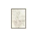 Picture of Transparent Tulip I _GroupedProduct_Rectangle_Portrait_Canvas_Framed_