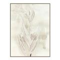 Picture of Transparent Tulip I _GroupedProduct_Rectangle_Portrait_Canvas_Framed_