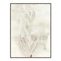 Picture of Transparent Tulip I _GroupedProduct_Rectangle_Portrait_Canvas_Framed_