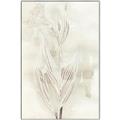 Picture of Transparent Tulip I _GroupedProduct_Rectangle_Portrait_Canvas_Framed_