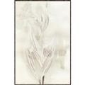 Picture of Transparent Tulip I _GroupedProduct_Rectangle_Portrait_Canvas_Framed_