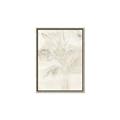 Picture of Transparent Tulip II _GroupedProduct_Rectangle_Portrait_Canvas_Framed_
