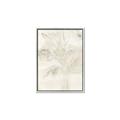 Picture of Transparent Tulip II _GroupedProduct_Rectangle_Portrait_Canvas_Framed_