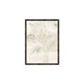 Picture of Transparent Tulip II _GroupedProduct_Rectangle_Portrait_Canvas_Framed_