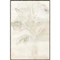 Picture of Transparent Tulip II _GroupedProduct_Rectangle_Portrait_Canvas_Framed_