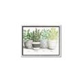 Picture of Pots With Flower _GroupedProduct_Rectangle_Landscape_Canvas_Framed_