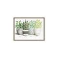Picture of Pots With Flower _GroupedProduct_Rectangle_Landscape_Canvas_Framed_