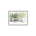 Picture of Pots With Flower _GroupedProduct_Rectangle_Landscape_Canvas_Framed_