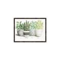 Picture of Pots With Flower _GroupedProduct_Rectangle_Landscape_Canvas_Framed_