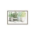 Picture of Pots With Flower _GroupedProduct_Rectangle_Landscape_Canvas_Framed_