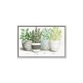 Picture of Pots With Flower _GroupedProduct_Rectangle_Landscape_Canvas_Framed_