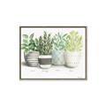 Picture of Pots With Flower _GroupedProduct_Rectangle_Landscape_Canvas_Framed_