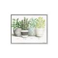 Picture of Pots With Flower _GroupedProduct_Rectangle_Landscape_Canvas_Framed_