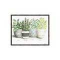 Picture of Pots With Flower _GroupedProduct_Rectangle_Landscape_Canvas_Framed_