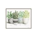 Picture of Pots With Flower _GroupedProduct_Rectangle_Landscape_Canvas_Framed_