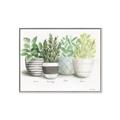 Picture of Pots With Flower _GroupedProduct_Rectangle_Landscape_Canvas_Framed_