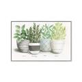 Picture of Pots With Flower _GroupedProduct_Rectangle_Landscape_Canvas_Framed_
