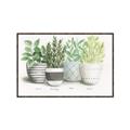 Picture of Pots With Flower _GroupedProduct_Rectangle_Landscape_Canvas_Framed_