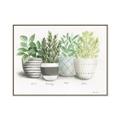 Picture of Pots With Flower _GroupedProduct_Rectangle_Landscape_Canvas_Framed_