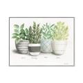 Picture of Pots With Flower _GroupedProduct_Rectangle_Landscape_Canvas_Framed_