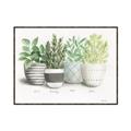 Picture of Pots With Flower _GroupedProduct_Rectangle_Landscape_Canvas_Framed_