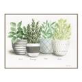 Picture of Pots With Flower _GroupedProduct_Rectangle_Landscape_Canvas_Framed_