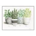 Picture of Pots With Flower _GroupedProduct_Rectangle_Landscape_Canvas_Framed_